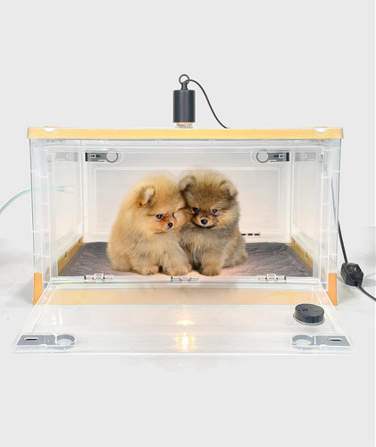 Puppy incubators with - puppy,