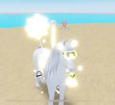 Wild Horse Islands Tack Set!