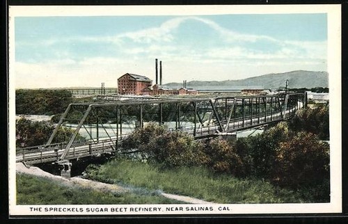 Postcard salinas the - salinas,, ca,