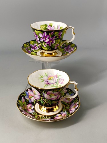 Royal albert provincial - albert,