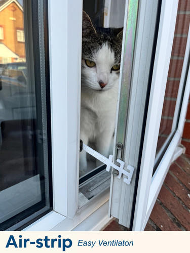Window restrictor cat guard - window,