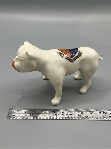 Crested china bulldog - crested,