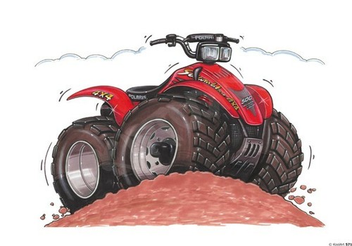 Polaris 500 red quad - 500,