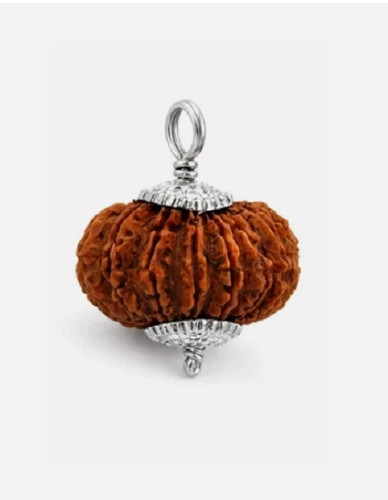Mukhi rudraksha bead - 21,