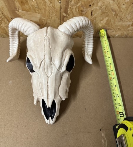 Crazy bonez seasons ram - crazy,