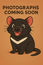 Ed Sheeran - X (CD 2014)