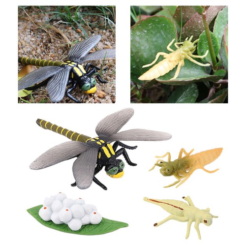 Realistic plastic insect toy - realistic,