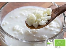 10g Certified by OF&G Organic Live Milk Kefir Grains Lab Tested and made in UK