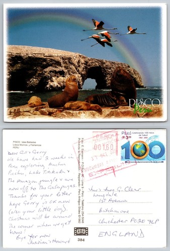 C21305 sea lions flamingos - &,
