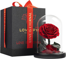 LOVAPPY Preserved Forever Rose