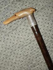 Antique Walking Stick Cane Bovine Horn Greyhound Hallmarked Silver 1928  KENDALL