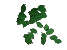 1.5cm x 100 paper leaves die