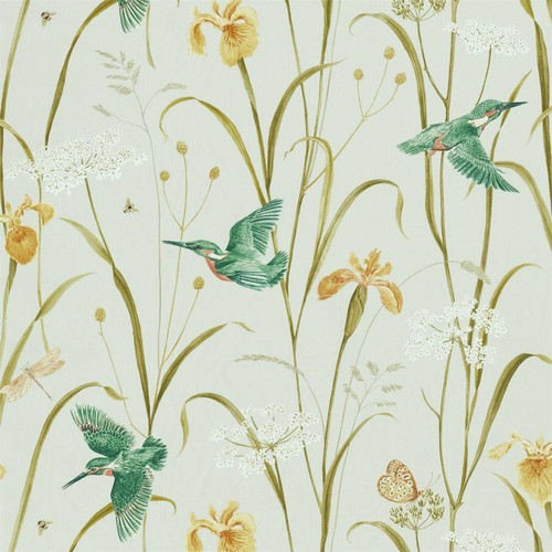 Sanderson kingfisher iris - kingfisher,
