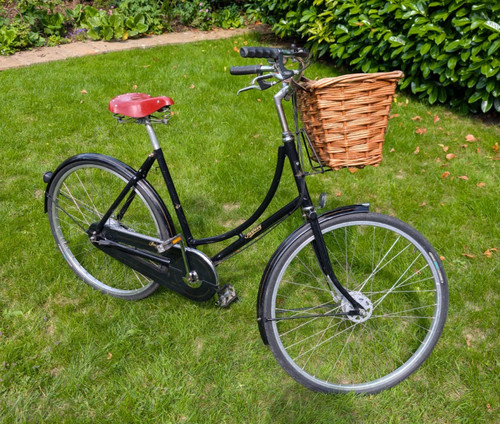 Pashley princess sovereign - pashley,
