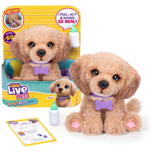Little live pets really - pets, my