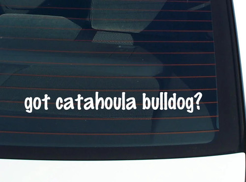 Got catahoula bulldog - got,