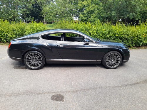 Bentley continental speed - bentley, gt