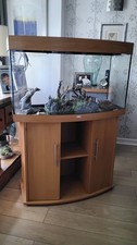 Juwel vision 180 aquarium with