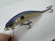 6" Blue Water Baits Sidewinder