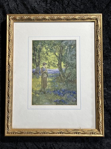 Bluebell woodland scene - woodland, scene-framed