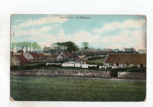 Kevii abercombie monans - gb,