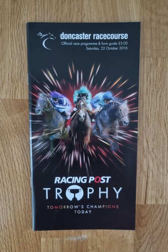 2016 racing post trophy - racing,