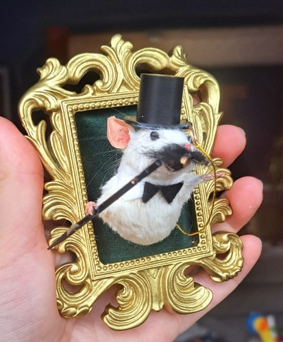 Taxidermy mouse head - mouse, gentleman