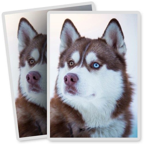Vinyl stickers 7x10cm - 2, x