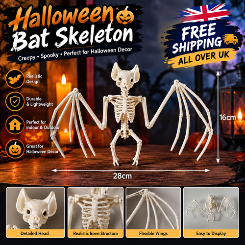 Halloween bat skeleton - halloween,
