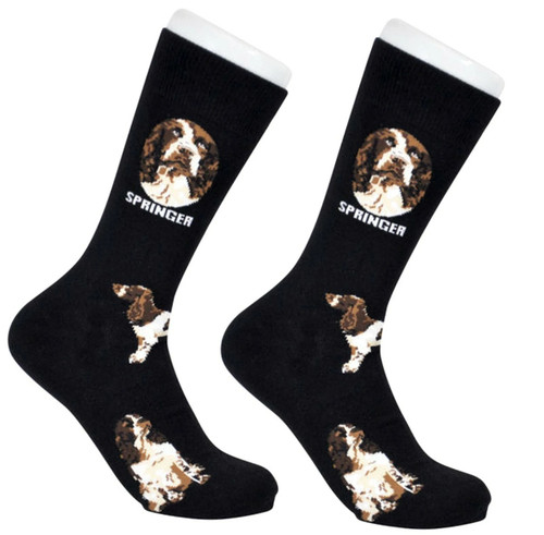 Springer spaniel dog unisex - spaniel,