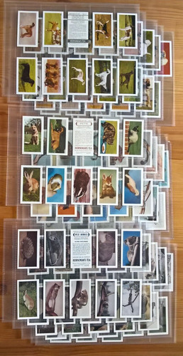 Hornimans tea trade - , cards