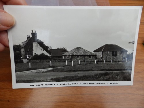 Postcard the cruft kennels - postcard,