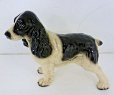 Vintage Springer Spaniel