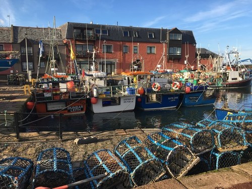 Photo 12x8 fishing - boats, in