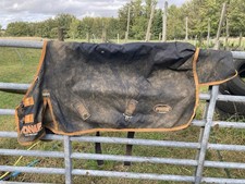 Gallop Ponie Turnout 100g 4’0