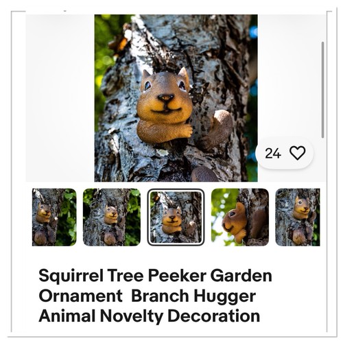 Squirrel tree peeker garden - tree,