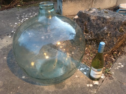Large glass carboy h - carboy, 17”