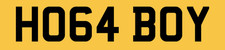 HARLEY DAVIDSON HOG REG NUMBER