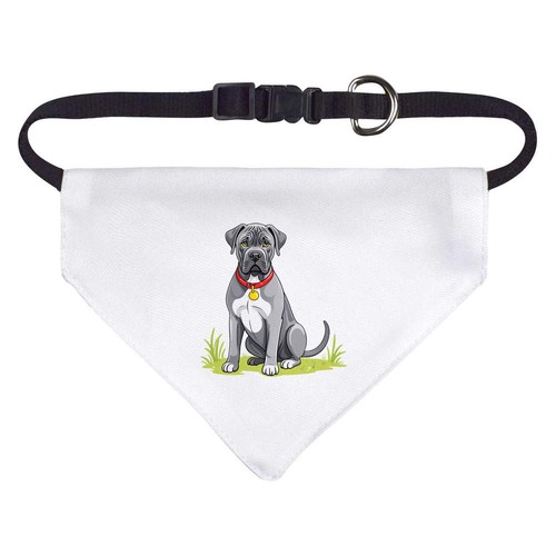 Cane corso dog - /, cat