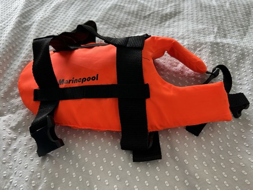 Marinepool dog lifejacket - marinepool,