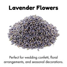 Dried English Lavender Flowers