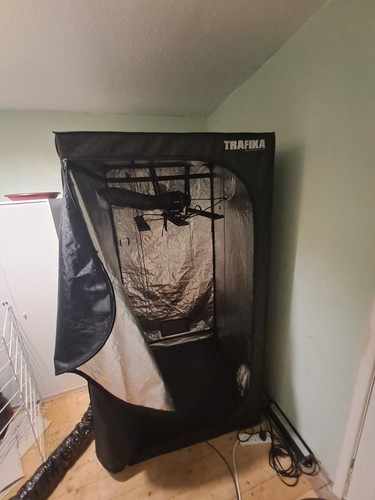 Trafika grow tent - grow,
