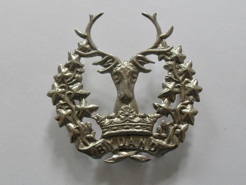 British army cap - cap, badge.