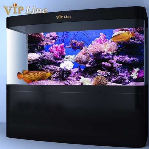 Aquarium background poster - aquarium,