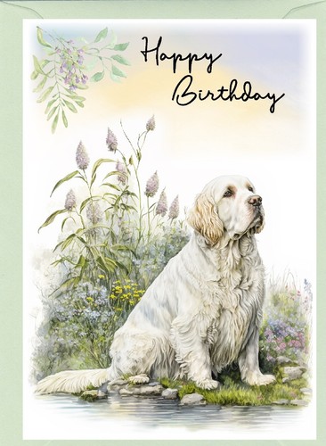Clumber spaniel dog birthday - clumber,