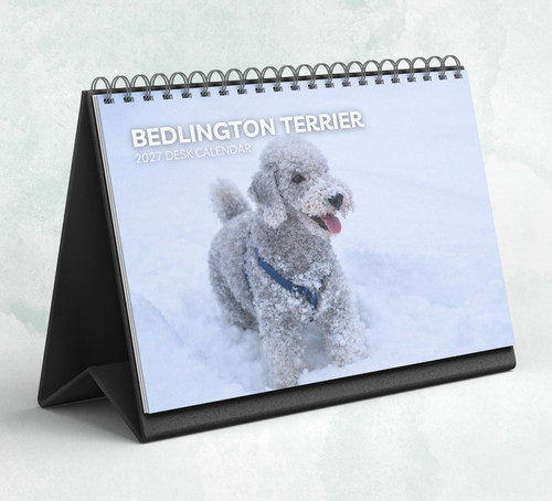 Bedlington terrier desk - bedlington,