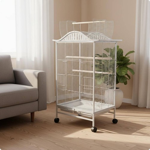 Large parrot aviary enclosure - large,