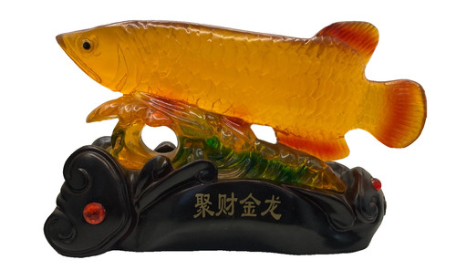 Feng shui wealth arowana - feng,