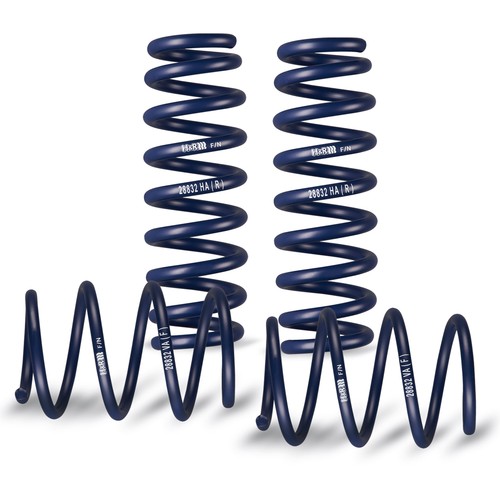 Lowering springs 40mm for - 40mm,