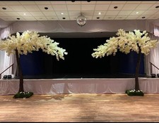 Canopy Blossom Trees